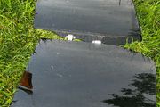 Honda Civic Saloon Rear Side Windows (Ej/Ek)