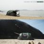 Automatic Camping Outdoor Pop-up Tent for Waterproof Quick-Opening Tents 4 Person Canopy with Carrying Bag Easy to Set up MULTIPLE COLOURS AVAILABLE, SEE PHOTOS (FREE POSTAGE) Image 7