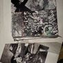 Fleetwood Mac vinyl lp Image 3