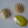 Shells, Home decor, Shell decorations.New Image 9