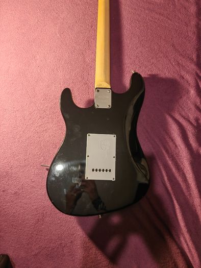 Guitar with amp and gigbag