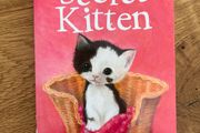 The Secret Kitten (by Holly Webb)