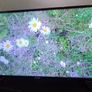 Blaupunkt smart tv Image 6