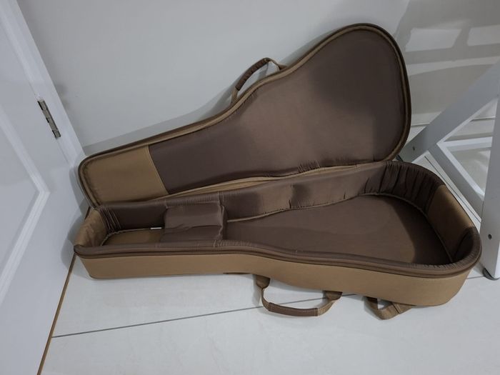 taylor gs mini gigbag
