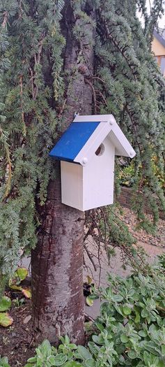 Bird Nesting Boxes