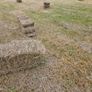 Organic Hay Image 3