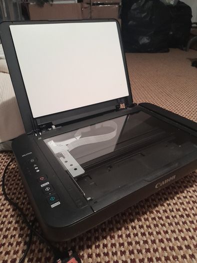 Canon PIXMA MG2550S All-in-One Printer