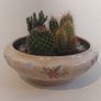 Lovely Arklow Pottery Tureen with Cacti Garden - A Fabulous Unique and Decorative Item for Display Indoors Image 5