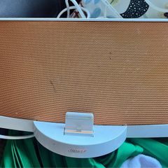 Bose Soundock