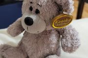 Koochie Soft Toys Teddy Bear Brand New Plush