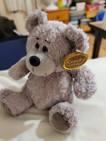 Koochie Soft Toys Teddy Bear Brand New Plush