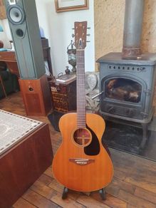 fg 150 nippon gakki