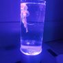 Sensory light with 7 different types of colours Image 5