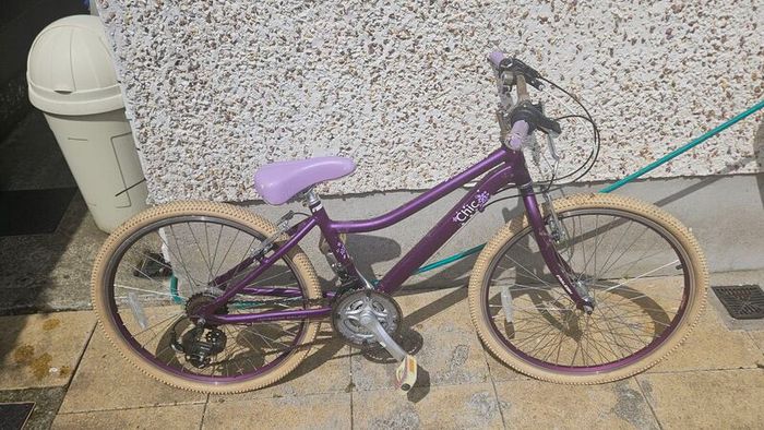 Raleigh Bicycle