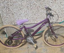 Raleigh Bicycle