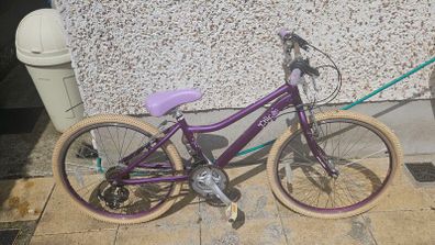 Raleigh Bicycle