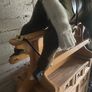 Rocking horse Image 3