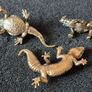 3 brass lizards. Image 2