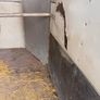 505 horse box Image 6