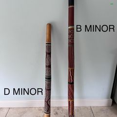 Didgeridoo (Dm and Bm)