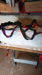 Dog harness