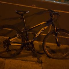push bike giant