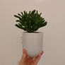 10cm glazed ceramic plant pot Image 2