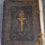 Douay Bible Illustrated / James Duffy ,Dublin,ca 1860 Image 2