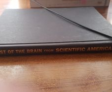 Best of the Brain from Scientific American: Mind, Matter, and Tomorrow's Brain, Floyd E. Bloom