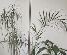Boja Boho Bamboo and Stainless Steel Floor Lamp
