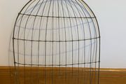 Bird Cage Decoration/ Hanger
