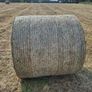 Round bales of hay Image 5