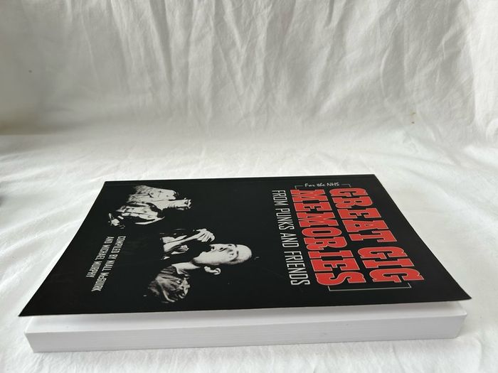 Great Gig Memories From Punks and Friends (McGuirk and Murphy) - Music History