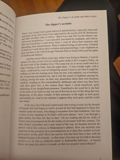 The Dipper's Acclaim And Other Essays. By John Feehan. First Edition Paperback In Good Condition.  See Photos For Same.