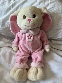 Soft pink teddy