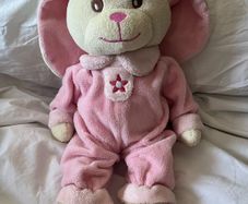 Soft pink teddy