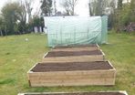 Root Veg Planters