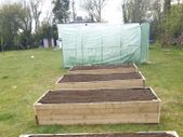 Root Veg Planters