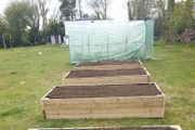 Root Veg Planters