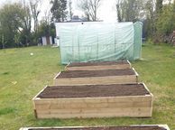 main image for ad Root Veg Planters