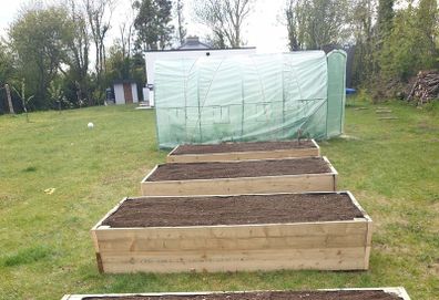 Root Veg Planters