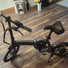 Electric bike