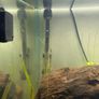 105L fish tank open to offers Image 3