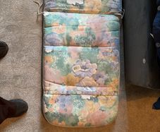 2 Garden Cushions Free , Dublin 4  Collection