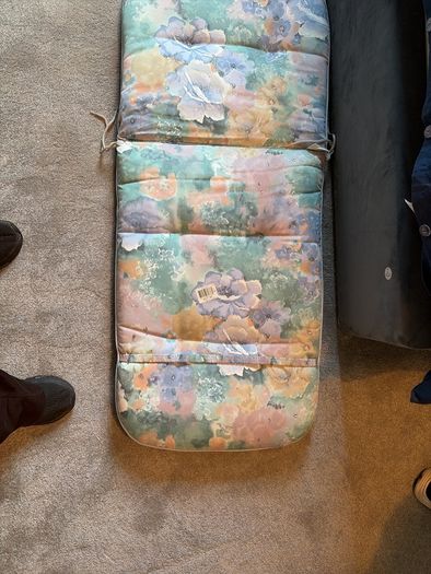 2 Garden Cushions Free , Dublin 4  Collection
