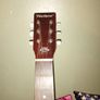 USA Harmony Acoustic Image 4