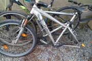 bikes