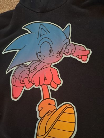 Sonic Hoodie