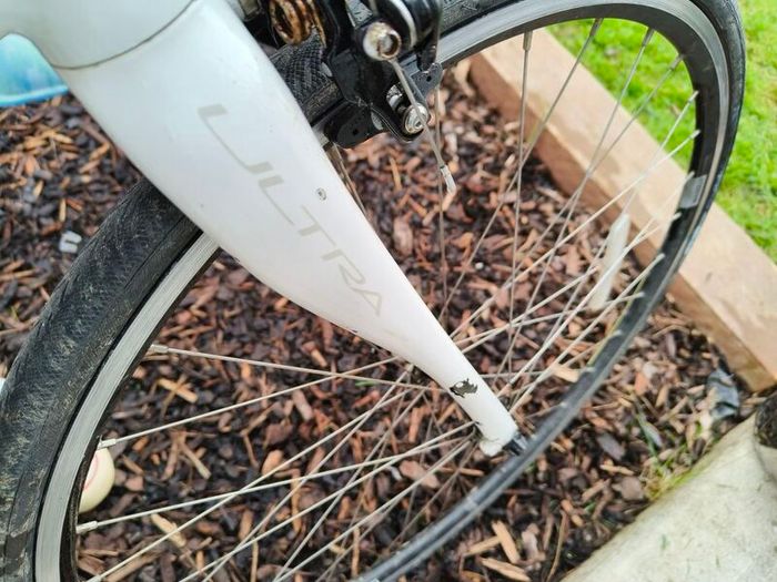 Cannondale Synapse Women's Bike