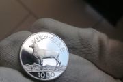 1990 Ireland Silver Proof 5 ECU Coin
